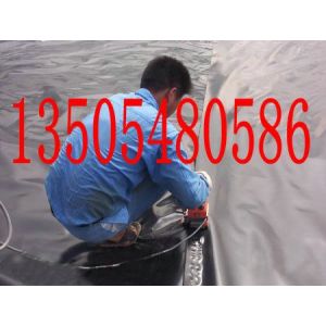ӦרĤĤͳǽ׼CJ/T234-2006׼HDPEĤ