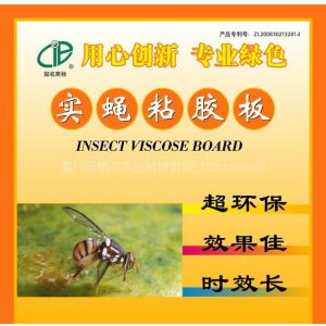 供应瓜实蝇粘胶板果实蝇诱芯实蝇黏粘胶针蜂粘板中海高科实蝇粘胶板英格尔实蝇粘胶板