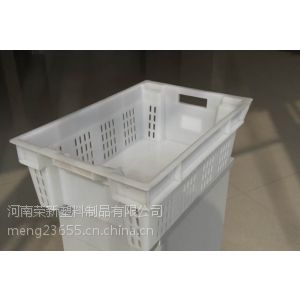 供应供应河北蘑菇专用塑料周转筐塑料周转箱