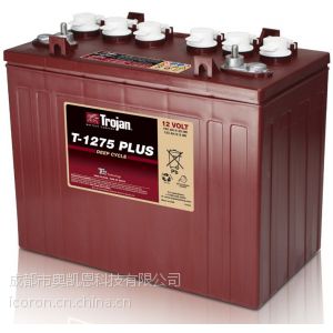 供应TROJAN T-1275电池扫地车电瓶 升降台电池