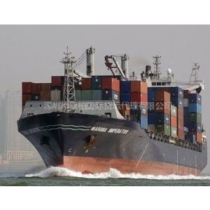 供应从泰国林查班海运到中国香港深圳海运进口运输服务
