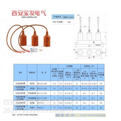 DCB-Z-10.5KVѹװ