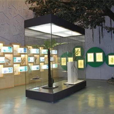 供应博物馆展示柜订做,深圳博物馆展示柜制作工厂,博物馆展柜设计