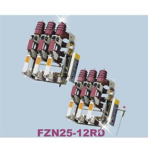 ӦFZN25-12ѹոɿ