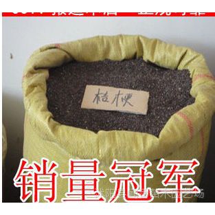 供应药材种子~（2012年新种子）桔梗种子 发芽***