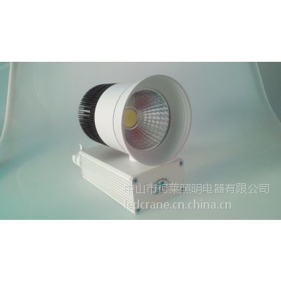  led cob 20/30W װ鱦
