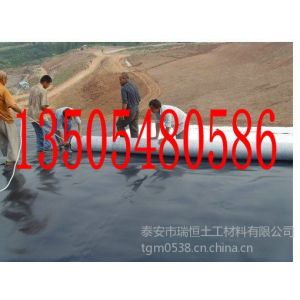 ӦϷ񳡷HDPEĤHDPEĤHDPEĤʩ۸13505480586