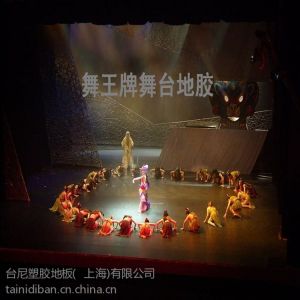 供应舞蹈学校地板价格、pvc舞蹈学校地胶、舞蹈学校pvc地胶、舞台演出地面材料