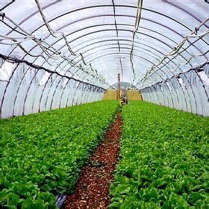 温室大棚:山东专业的蔬菜温室大棚生产基地