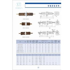 供应CWC-20-3000,CWB-35KV,CWB-10KV户外高压穿墙套管