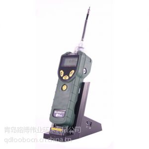 Ӧˮ೧õPGM-7300 VOC