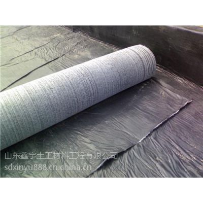 供应【防水毯】_膨润土防水毯_钠基膨润土防水毯_鑫宇土工材料
