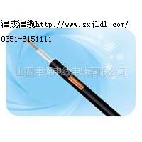 供应山西大同煤矿同轴泄漏电缆 MSLYFYVZ |MSLYFVZ 75-9 50-9