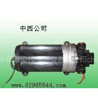 供应微型水泵(中国)4.5L/Min（产品）