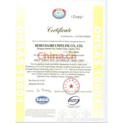 OHSAS 180012007