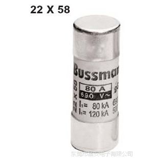 ӦC22G100   100A/500V   Bussmann۶