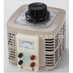 TDGC2-0.2KVA Ӵʽѹ0~250Vɵ 200WȫͭȦ