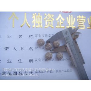 供应供美国小黑核桃1500公斤