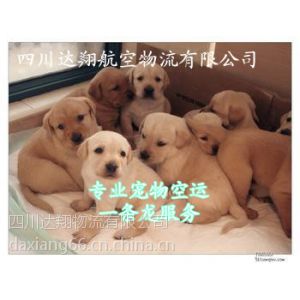 Ӧɶ˳ﵽ人 ɶ˹èè人