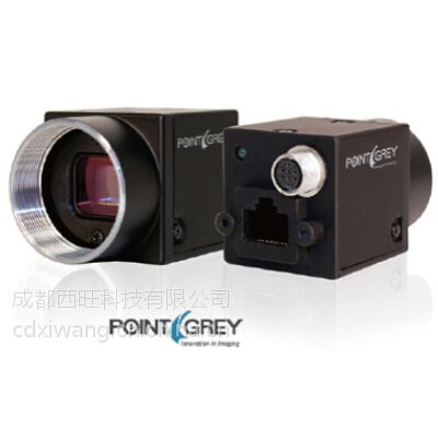 ӦPointGrey GigEVision-Flea3 GigEVisionϵ