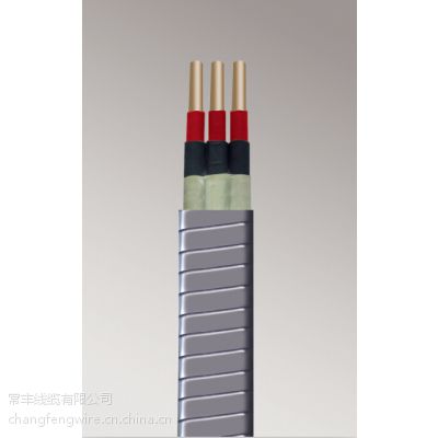 Ӧ3*10-QYEN-120-3kV Ǳͱõ