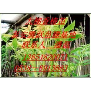 Ӧ㴻硢㴻硢㴻Ʒ֡㴻۸