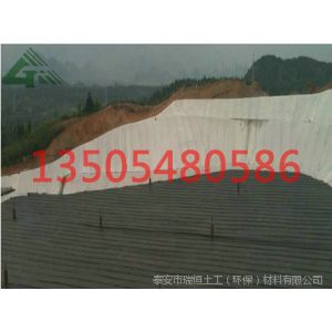 ӦźĤĤɽרҵ 13505480586
