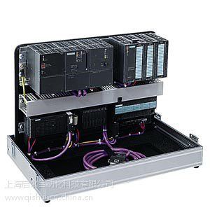 ӦCPU319F-3PN/DP