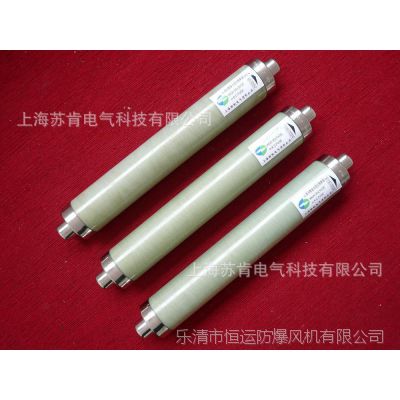 Ӧ XRNT1-12KV/2***ѹ۶