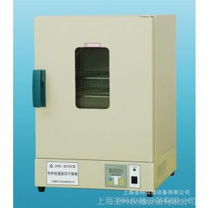 供应上海精宏DHG-9240A鼓风干燥箱 电热烘箱 电热恒温鼓风干燥箱