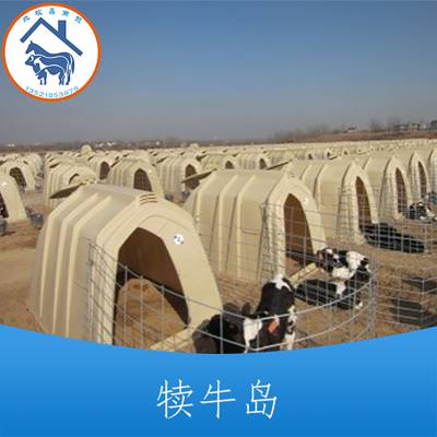  DND-2 Сţרñ· ԭװֻ