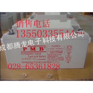 供应LCPA24-12 12V24AH蓄电池