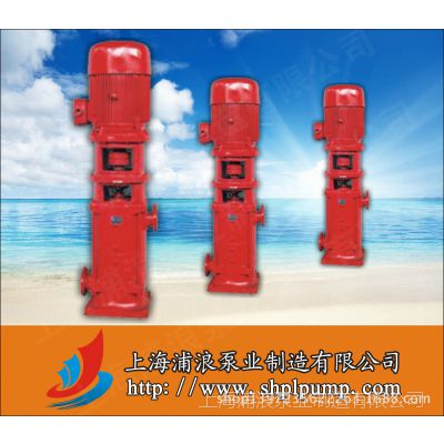 消防泵,DL立式管道多级消防泵,立式便拆式消防泵
