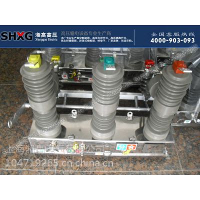 ӦZW32-12/630 10KVѹն·