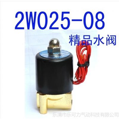 供应生产电磁阀水阀 2W025-08 220V 24V二位二通水阀UD水阀锌合金