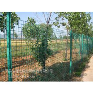 绿色浸塑铁丝网围栏规格和报价，厂家安平浩璟提供