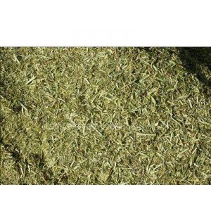 供应苜蓿草粉