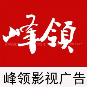 供应安徽拍摄企业视频宣传片专题片有水平的公司