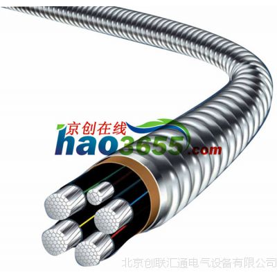 YJHLV82(ACWU90)0.6/1KV3+2оϽװϽ