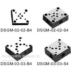 Ӧ̨念KOMPASSŷװDSGM-02-02-B4 DSGM-02-02-S4