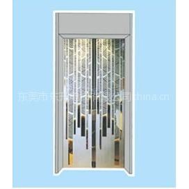 供应供应电梯厅门　东莞厂家直销各种电梯　承接电梯安装，大修，维修整改等　