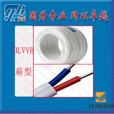 ӦBLVVB2X1.5~2X10 3X1.5~3X10 ƽ ϵߵ 꽭о