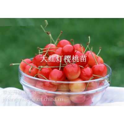 Ӧӣ ӣ ӣרг