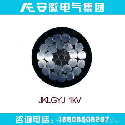 企业集采JKLGYJ150/20-1KV架空绝缘电缆（钢芯铝绞线导体）