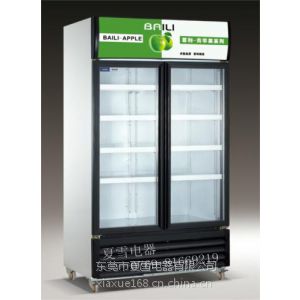 供应百利双门风冷立柜 百利冷柜 青苹果系列