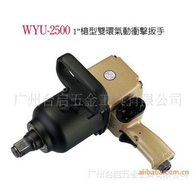 Ӧ͡ǹ˫  WYU-2500
