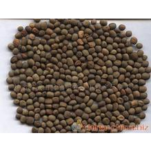 供应优质绿肥作物箭舌豌豆(野豌豆）