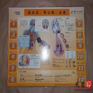  pvc ͸泧