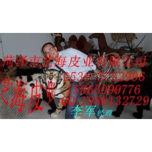 供应国美电器与艺海皮业签约销售合同仿真动物标本|照相动物道具|仿真老虎|仿真狮子|仿真驯鹿|仿真北极熊