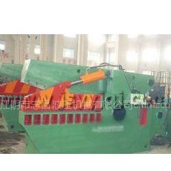 供应江苏液压剪切机,江苏废金属剪切机,250吨江苏液压剪断机